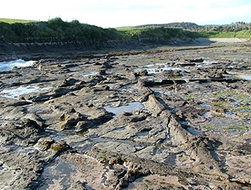 catlins activities3