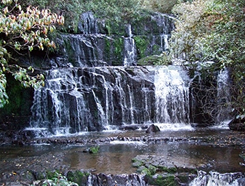 catlins activities6