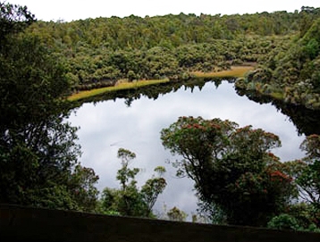 catlins activities7